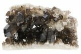 Dark Smoky Quartz Crystal Cluster - Brazil #120768-2